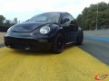 Beetle 1