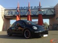 Beetle 12