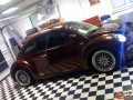 Beetle 1