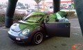 Beetle 1