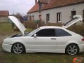 Corrado 8