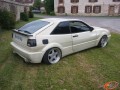 Corrado 17