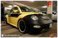 Beetle 1