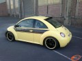 Beetle 18