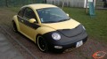 Beetle 9