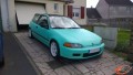 Civic 6