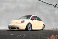 Beetle 1