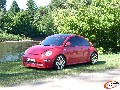 Beetle 6